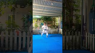 Paiku Kata Karate 🥰🥋🥰 Quang Hải Karate 🥋 quanghaikarate karate katakarate [upl. by Almeeta]