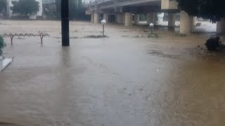 MARIKINA RIVER UPDATE [upl. by Ahsiki]