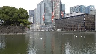 【丸の内二重橋ビルディング】丸の内32計画（富士ビル・東京會舘ビル・東京商工会議所ビルの建替え）の建設状況（2017年3月4日） [upl. by Reinald]