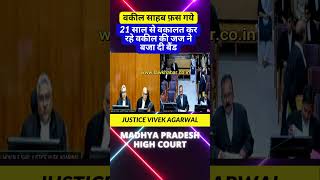 वकील साहब फ़स गये high motivation highcort supremecourtjudge supreme news chiefjudge [upl. by Pacien373]