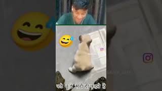 piche 🤣 dekh funny comedy challenge React Prosketingridervlog [upl. by Heigl]