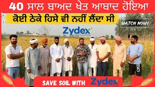 40 ਸਾਲਾਂ ਬਾਅਦ ਪਹਿਲੀ ਸ਼ਾਨਦਾਰ ਫ਼ਸਲ ਹੋਈ Save your soil with Zytonic M by Zydex [upl. by Eerrehs92]