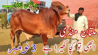 Abi to kachaa kheerah Bachraa hae  Brahman Lajawab Bachraa latest update [upl. by Marje602]