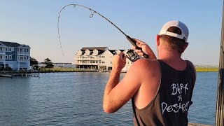 Flounder Fishing at the Chincoteague Pier [upl. by Hannan548]