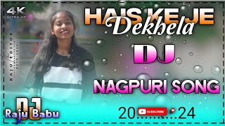 HaiskejedekhelanewNagpurisong2024Dj Remix Song 2024 mixing master Dj Raju Babu chitpil [upl. by Dorolice96]