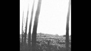 Ben Howard  Three Tree Town Old Pine EP [upl. by Koenig]