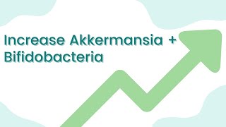 Increase akkermansia muciniphila amp bifidobacteria [upl. by Hump]