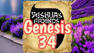 Bible Reading on Genesis 34 CJB Version [upl. by Bendick]