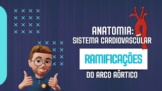 Anatomia Vascular Ramificações da Aorta [upl. by Amery]