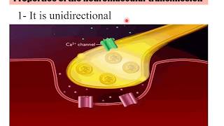 Properties of Neuromuscular Transmission [upl. by O'Neil]