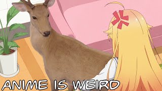 Yes That CGI Deer is Taking Backshots from an Anime Girl Anime is Weird [upl. by Dahraf]