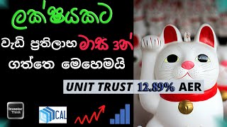 How Much Return You Can Get From UNIT TRUST Investmentලක්‍ෂයකට වැඩි ප්‍රතිලාභ මාස 3න් ගත්තෙ මෙහෙමයි [upl. by Ittak]