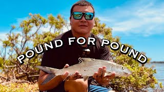 Fishing for Bonefish “Oio” with Light Tackle [upl. by Anuahsed]