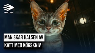 MAN SKAR HALSEN AV KATT MED KÖKSKNIV  HELA RÄTTEGÅNGEN [upl. by Anaihs]