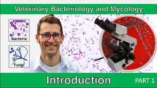 Introduction to Microbiology  Part 1 [upl. by Iahc]