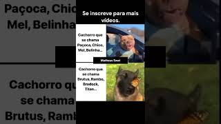 Realmente memes brazil viralshort [upl. by Schlicher]