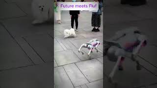 Robot Dogs Shocking Reaction to FLUFF in 60 Seconds [upl. by Elianora]