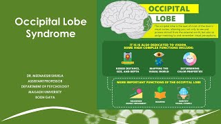 The Occipital Lobe Syndrome पश्चकपाल पालि सिंड्रोम [upl. by Gherardi]