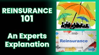 Reinsurance 101 [upl. by Ahsuoj]