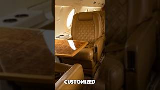 The SHOCKING Luxury of Elizabeth Taylors Private Jet [upl. by Nerine]