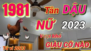 TỬ VI 2023 Tử vi tuổi TÂN DẬU 1981 NỮ MẠNG năm 2023  VƯỢT KHÓ GIÀU CỠ NÀO [upl. by Itsuj]