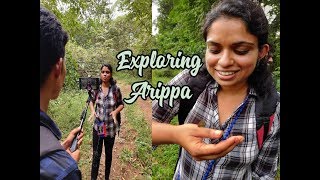 Exploring Arippa Arippa ForestTravel VibesAnu Vibes [upl. by Acyssej]