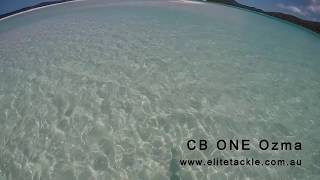 CB One Ozma Stickbait water test with Elite Tackle [upl. by Rimat435]