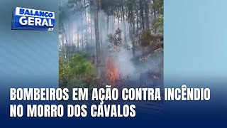 Incêndio em vegetação no Morro dos Cavalos mobiliza bombeiros [upl. by Ketty69]