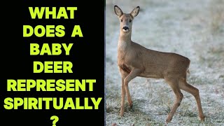 WHAT DOES A BABY DEER REPRESENT SPIRITUALLY [upl. by Kirsti61]