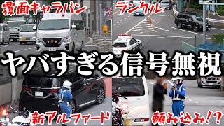 絶対警察にケンカ売ってるでしょ？ヤバすぎる信号無視に白バイが！所轄パトカーが緊急走行！タバコ吹かす違反処理のアルファード、地元ナンバーのランクルにア然…おまけ・この白バイの対応に視聴者の対応真っ二つ！ [upl. by Dnob198]