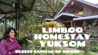 Limboo Homestay Yuksom  West Sikkim Food and Travel  Best homestay in Yuksom  Sikkim tourism [upl. by Islek478]