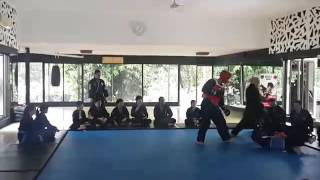 Hapkido Sparring [upl. by Aligna]