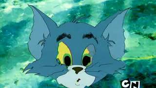 Tom amp Jerry Episode 210 Mansion Cat 2001 [upl. by Batory]