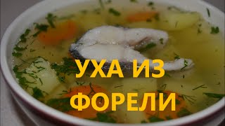 Уха из форелиСуп с форели и с картофелем [upl. by Eveline]