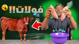 تجارب ممتعة  تجربة صلق فولات العجل بالحليب [upl. by Roshan843]