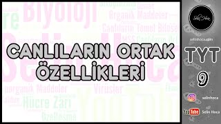 1 Canlıların Ortak Özellikleri [upl. by Rebak521]