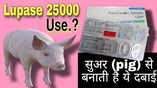 Lupase 25000 usage in Hindi  Creon Tablet benefits and side effects [upl. by Nissensohn323]