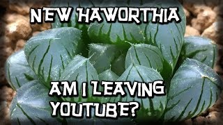 NEW HAWORTHIA SUCCULENTS PLANT HAUL amp AM I LEAVING YOU TUBE  MY COLLECTION GROWS [upl. by Noiroc]