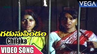 GadusuPindam Movie Songs  Chilaka Video Song  Suman Anuradha Bhanu Chandar Surekha [upl. by Rozek]