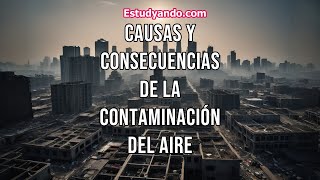 Causas y Consecuencias de la Contaminación del Aire [upl. by Juanne]