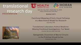 Translational Research Day  Session 4 [upl. by Neehcas660]