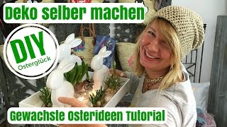 DIYDeko Ideen selber machen  Gewachste Osterideen  von Imke Riedebusch [upl. by Schoening]