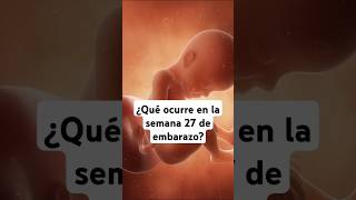 🤔 ¿Qué ocurre en la semana 27 de embarazo 🤰 Síntomas y desarrollo del bebé [upl. by Normi]