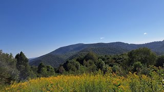 Appalachian Trail Section Hike Sams Gap to The Big Bald [upl. by Eatnom89]