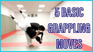 5 basic grappling techniques [upl. by Trevar383]