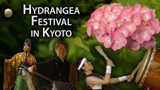 Kyoto Festival Hydrangea Celebration at Fujinomori Shrine Ajisai Matsuri [upl. by Karsten90]