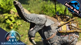 DEINOTHERIUM  Ark Survival Ascended  Ark Additions Dino [upl. by Mill861]