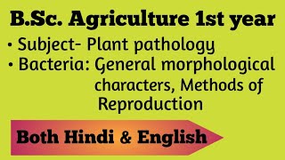 Bacteria General morphological characters Methods of Reproduction  BSc Ag 1st year [upl. by Itsur120]