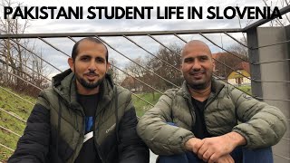 PAKISTANI STUDENT LIFE IN SLOVENIA  LJUBLJANA  DESI LOG  VLOG  40 [upl. by Aruabea]