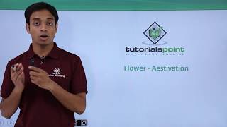 Class 11th – Flower – Aestivation  Morphology of Flowering Plants  Tutorials Point [upl. by Yerffoeg]